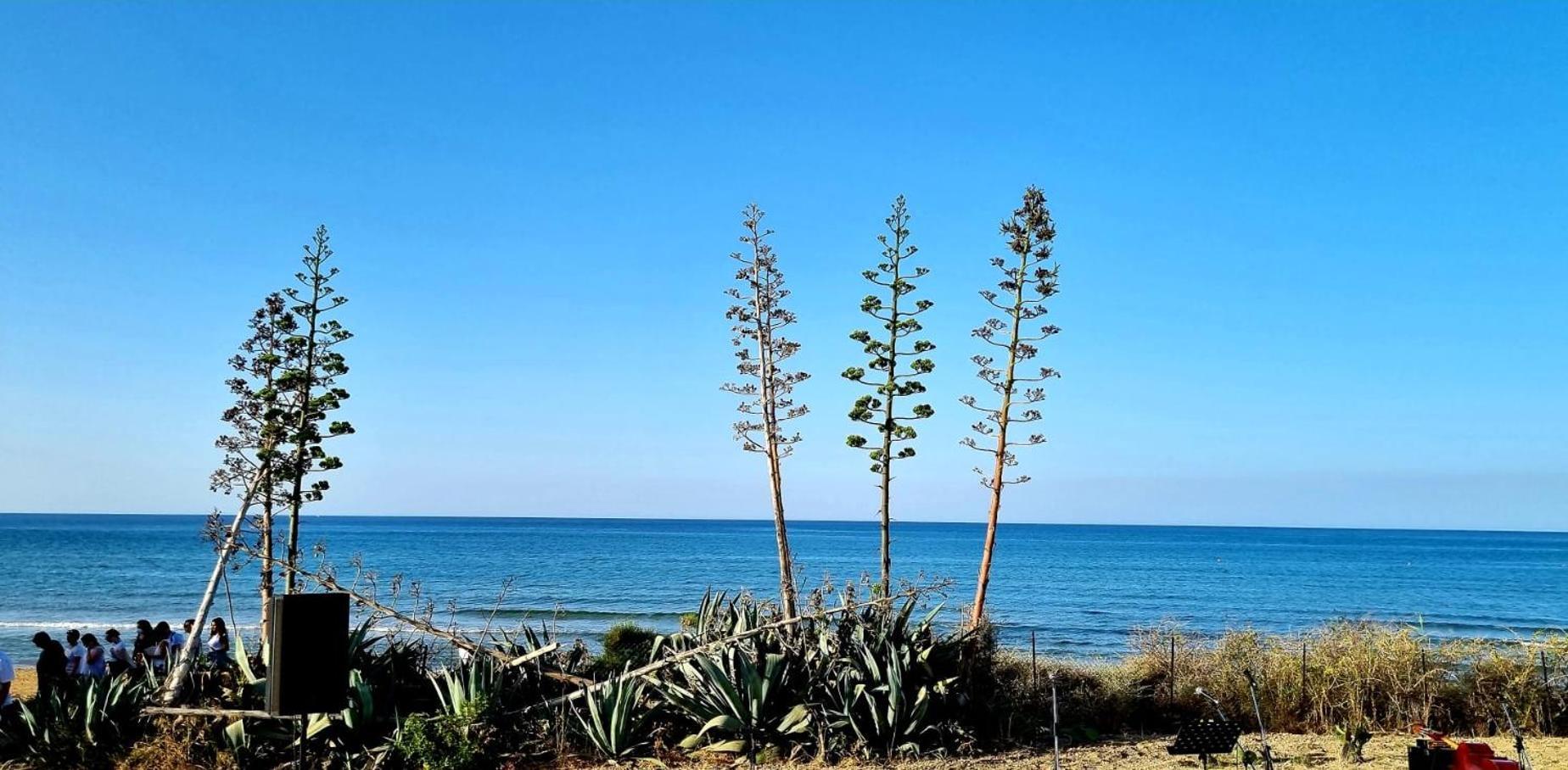 Casa Vacanza Nonna Nena Porto Empedocle Bagian luar foto